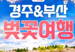 [KTX/봄꽃] 부산 (용궁사/해운대/자갈치시장) & 경주 벚꽃 (황리단길/동궁과월지/보문단지) 1박2일 기차여행