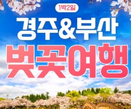 [KTX/봄꽃] 부산 (용궁사/해운대/자갈치시장) & 경주 벚꽃 (황리단길/동궁과월지/보문단지) 1박2일 기차여행