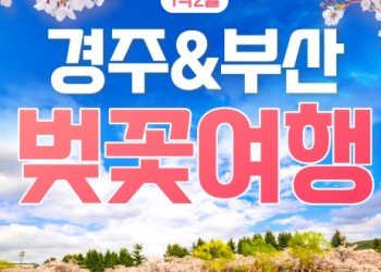 [KTX/봄꽃] 부산 (용궁사/해운대/자갈치시장) & 경주 벚꽃 (황리단길/동궁과월지/보문단지) 1박2일 기차여행