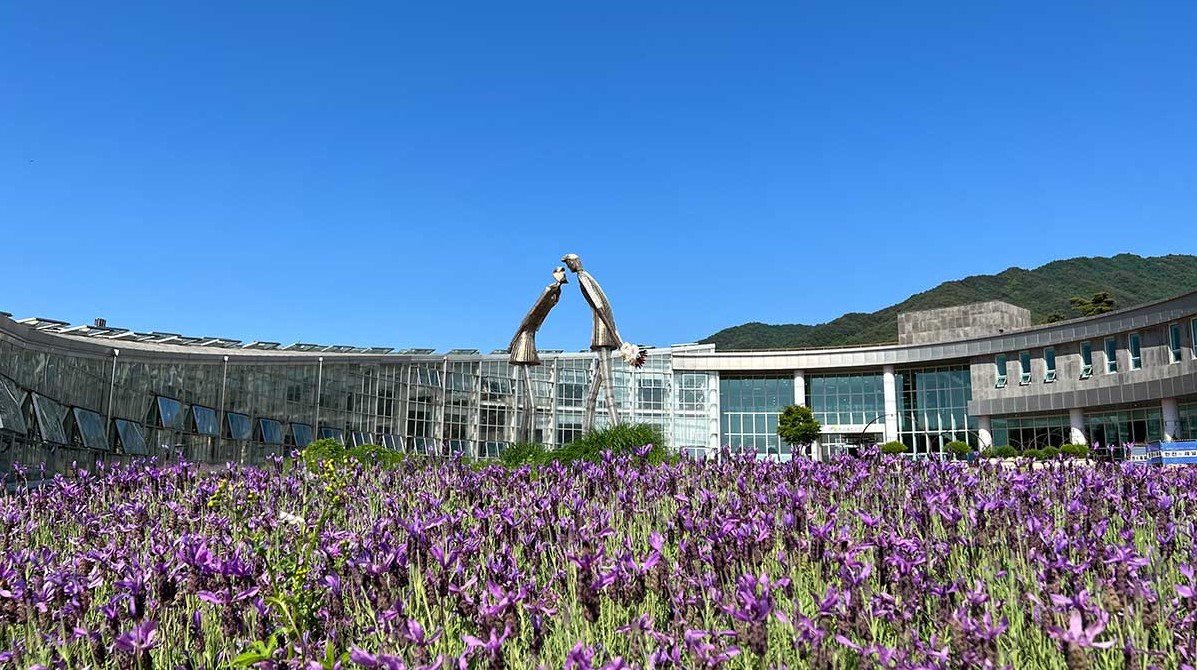 [국악와인열차] 6월 13일 남원 지리산 허브밸리 라벤더 / 지리산 뱀사골 트레킹