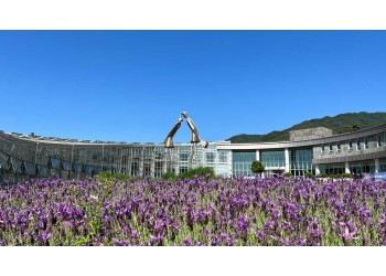 [국악와인열차] 6월 13일 남원 지리산 허브밸리 라벤더 / 지리산 뱀사골 트레킹