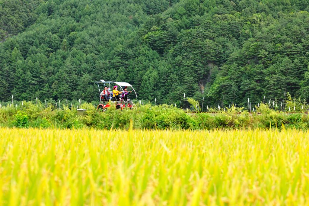 ▶정선1박2일◀[KTX]동해바다*정선 가리왕산케이블카&레일바이크*옥산장 1박2일 ★2012~2022 우수여행상품선정★