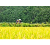 ▶정선1박2일◀[KTX]동해바다*정선 가리왕산케이블카&레일바이크*옥산장 1박2일 ★2012~2022 우수여행상품선정★