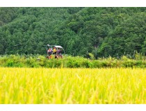 ▶정선1박2일◀[KTX]동해바다*정선 가리왕산케이블카&레일바이크*옥산장 1박2일 ★2012~2022 우수여행상품선정★