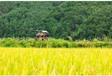 ▶정선1박2일◀[KTX]동해바다*정선 가리왕산케이블카&레일바이크*옥산장 1박2일 ★2012~2022 우수여행상품선정★