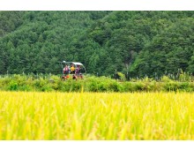 ▶정선1박2일◀[KTX]동해바다*정선 가리왕산케이블카&레일바이크*옥산장 1박2일 ★2012~2022 우수여행상품선정★