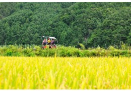 ▶정선1박2일◀[KTX]동해바다*정선 가리왕산케이블카&레일바이크*옥산장 1박2일 ★2012~2022 우수여행상품선정★