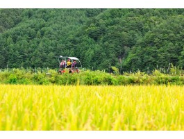 ▶정선1박2일◀[KTX]동해바다*정선 가리왕산케이블카&레일바이크*옥산장 1박2일 ★2012~2022 우수여행상품선정★