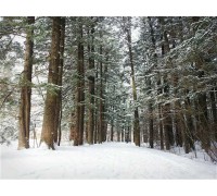 ▶정선1박2일◀[KTX]동해바다*정선 가리왕산케이블카&레일바이크*옥산장 1박2일 ★2012~2022 우수여행상품선정★