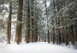 ▶정선1박2일◀[KTX]동해바다*정선 가리왕산케이블카&레일바이크*옥산장 1박2일 ★2012~2022 우수여행상품선정★