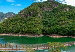 [무궁화-청량리역/양평역]제천시티투어 - 청풍호 유람선 & 케이블카 & 의림지 여행(당일)