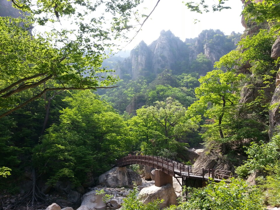 설악산 주전골 트래킹&속초 엑스포타워&외옹치둘레길 @중식제공