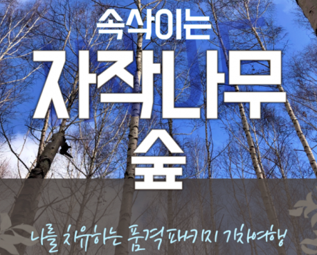 강원도 인제 자작나무숲* 홍천 수타사 당일 기차여행 (중식제공)