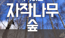 강원도 인제 자작나무숲* 홍천 수타사 당일 기차여행 (중식제공)