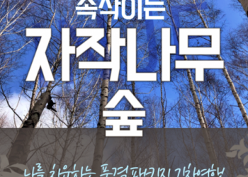 강원도 인제 자작나무숲* 홍천 수타사 당일 기차여행 (중식제공)