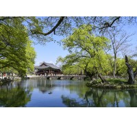 [팔도장터열차] 4월 2일(목) 하동 십리벚꽃길 / 남원 광한루원+김병종 미술관