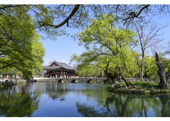 [팔도장터열차] 4월 2일(목) 하동 십리벚꽃길 / 남원 광한루원+김병종 미술관