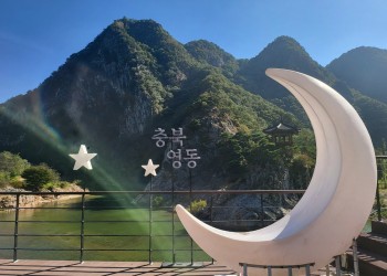 [국악와인열차] 6월 14일 영동 대한민국 와인축제 / 와이너리 투어 / 직지사