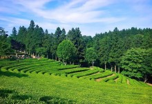 KTX 남도파노라마 1박2일(담양대통밥/목포한정식/법성포굴비정식)