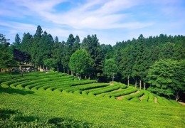 KTX 남도파노라마 1박2일(담양대통밥/목포한정식/법성포굴비정식)