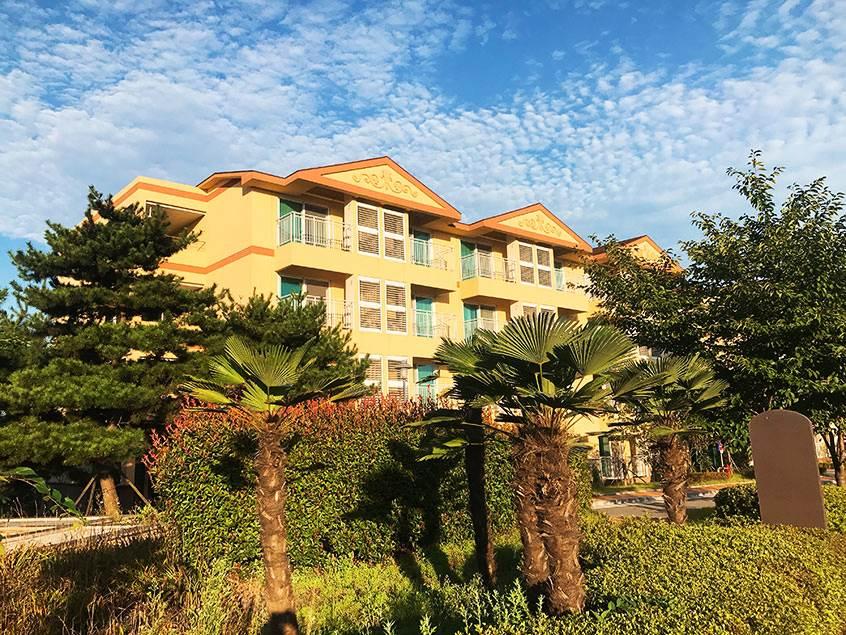 SRT◆남도탐방 1박2일◆ 순천-순천만습지/여수-해상케이블카/장흥-우드랜드편백숲/강진-다산박물관-가우도/순천부영호텔숙박