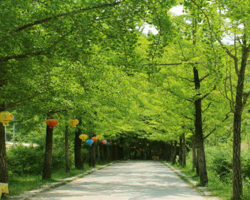 [KTX-당일]*중식제공* 천년고찰 영주부석사+소수서원/선비촌 당일여행