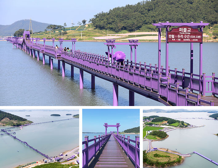 SRT수서역/동탄/평택지제]◆진도(명량해상케이블카)&신안(퍼플교/비금&도초도) 1박2일◆목포 신안비치호텔