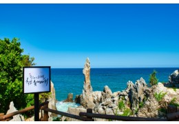 [KTX-당일]강원도② 동해 추암촛대바위+환선굴+강릉 안목커피거리