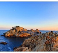 KTX 울산&부산 *거제 외도 꽉찬 1박2일(가이드동행)