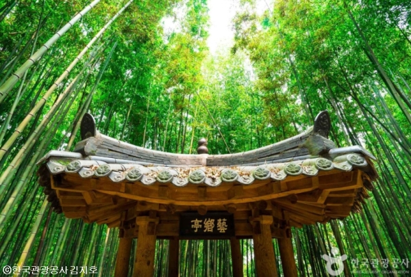 [KTX용산역/광명역/오송역-당일]대나무 명소 담양(죽녹원/가로수길/소쇄원) 즐기기!