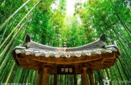 [KTX용산역/광명역/오송역-당일]대나무 명소 담양(죽녹원/가로수길/소쇄원) 즐기기!