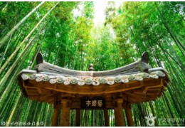 [KTX용산역/광명역/오송역-당일]대나무 명소 담양(죽녹원/가로수길/소쇄원) 즐기기!