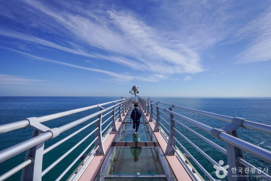 [국악와인열차/1박2일] 2월 28일~3월 1일(토~일) 울진 대게축제 ★그랜드호텔★