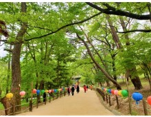 [국악와인열차] 6월 11,16일 영동 와이너리 투어 / 추풍령 급수탑공원 장미 / 직지사
