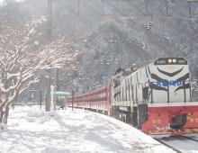 [KTX이음] 정선 만항재 눈꽃 & 백두대간 협곡열차 겨울 기차여행 (부산출발)
