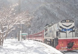 [KTX이음] 정선 만항재 눈꽃 & 백두대간 협곡열차 겨울 기차여행 (부산출발)