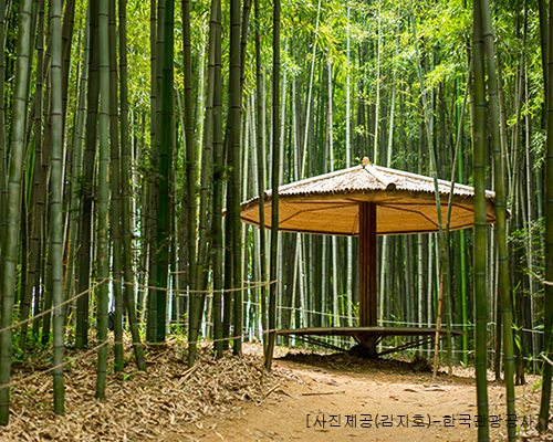 [KTX-1박]맛있고 건강한 고창 선운사·내장산 웰빙별미