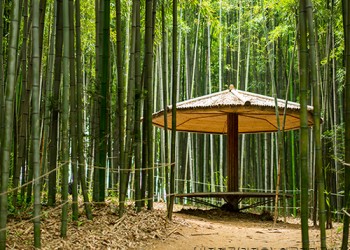[KTX-1박]맛있고 건강한 고창 선운사·내장산 웰빙별미