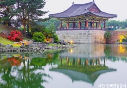 [KTX-1박]천년고도 경주 황리단길/불국사/양동마을/파도소리길