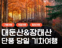 [KTX/가을] 대둔산 단풍 케이블카&장태산 자연휴양림 당일 기차여행-중식포함