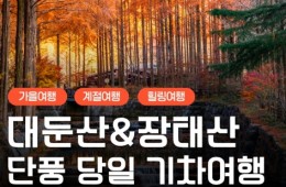 [KTX/가을] 대둔산 단풍 케이블카&장태산 자연휴양림 당일 기차여행-중식포함