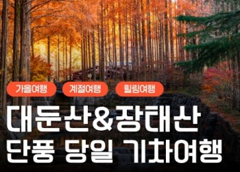 [KTX/가을] 대둔산 단풍 케이블카&장태산 자연휴양림 당일 기차여행-중식포함