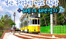 KTX서울역/광명역/오송역]- 부산 명소 탐방 & 해운대 해변열차 & 태종대 여행 (1박2일)-호텔급