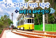 KTX서울역/광명역/오송역]- 부산 명소 탐방 & 해운대 해변열차 & 태종대 여행 (1박2일)-호텔급