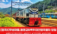 [경상권/충청권/수도권출발] 협곡3)무섬마을,월영교&백두대간협곡열차 당일
