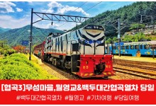 [경상권/충청권/수도권출발] 협곡3)무섬마을,월영교&백두대간협곡열차 당일
