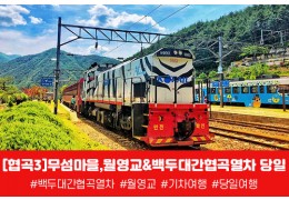 [경상권/충청권/수도권출발] 협곡3)무섬마을,월영교&백두대간협곡열차 당일
