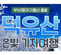 [KTX부산/울산/동대구] 은빛 설산 덕유산 곤도라&하늘 물빛정원 당일 기차여행-겨울