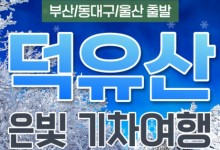 [KTX부산/울산/동대구] 은빛 설산 덕유산 곤도라&하늘 물빛정원 당일 기차여행-겨울