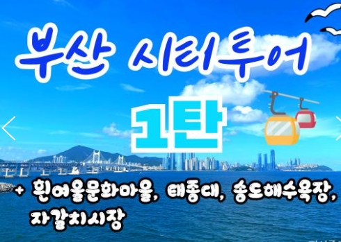 [KTX-서울역/광명역/대전역] 부산시티투어(1탄) - 태종대/송도케이블카/흰여울문화마을/산만디투어/자갈치시장 여행(당일)